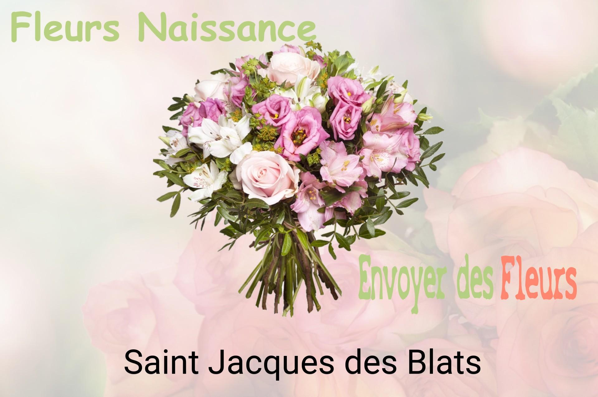 Bouquet de fleurs de naissance livré à Saint-Jacques-des-Blats